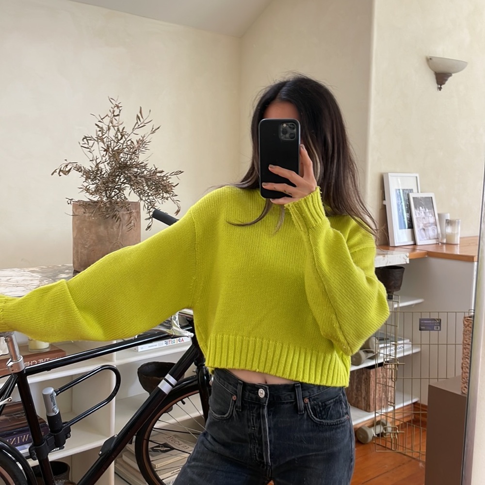 Aritzia wilfred free turtleneck sweater